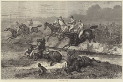 A Steeplechase by Johann Baptist Zwecker